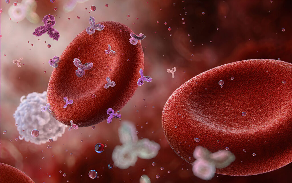 Antibodies attacking red blood cells, symbolising autoimmune disease.